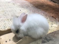 -海合安青岛极地海洋公园