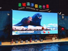 -泉城欧乐堡海洋极地世界