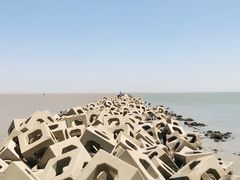 -东疆建设开发纪念公园