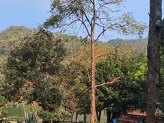 -龙潭生态旅游度假区