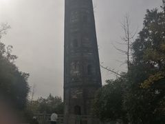 -上海佘山国家森林公园天马山园