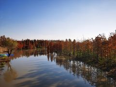 -上海长兴岛郊野公园