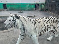 -五龙山野生动物王国