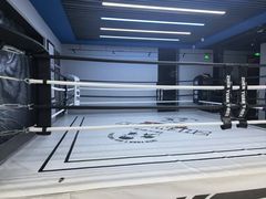-臻元搏击格斗泰拳拳馆(港隆店)