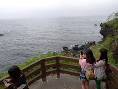 -涉地可支