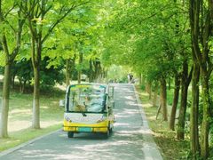-合肥野生动物园