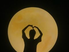 -万达广场(东莞厚街店)