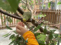 -太阳岛度假酒店