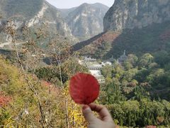 -青龙山生态文化旅游区(慈云寺)