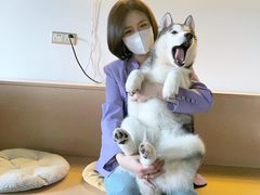 -Husky Go! 哈士奇体验馆·宠物咖啡厅狗咖