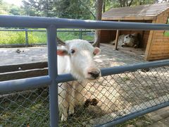 -长白岛森林公园