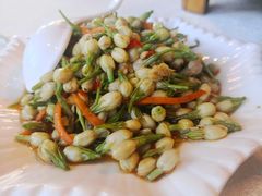 横县茉莉花-壮乡楼民俗文化苑(李宁体育园店)