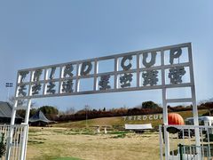 -西京湾花海