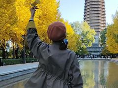 -玲珑塔公园