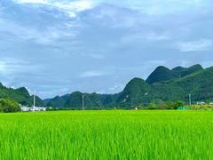 -万峰林风景区
