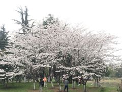 -堤角公园