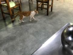 -察哈尔烤羊腿