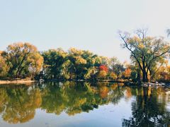 -晋祠公园
