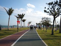 -野狸岛