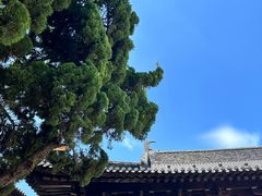 -锦溪古镇