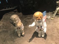 -济州岛泰迪熊博物馆