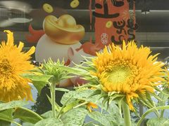 -大娘舅·江景餐厅桐庐菜(白冷线店)