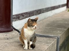 -常熟方塔园