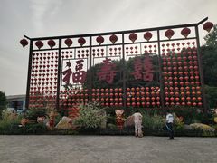 -合肥滨湖国家森林公园