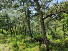 -承德避暑山庄景区