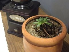 -PIZZERIA大黄鸭披萨