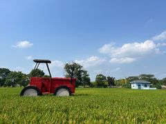 -嘉北郊野公园