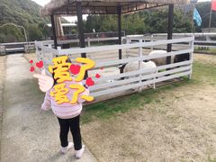 -宁波九龙湖开元度假村