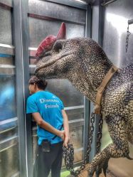 -恐龙探索乐园(磁器口店)