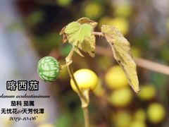 -天芳悦潭度假村温泉