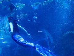 -威海华夏城景区