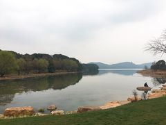 -东湖落雁景区