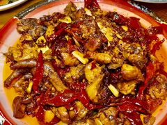 -柴窝堡22号辣子鸡·传承新疆菜