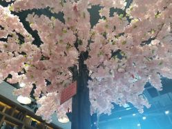 -简影造型·自选烫染接发salon