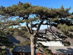 -妙峰山风景名胜区