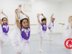 -西安小天鹅艺术团(金花路校区)