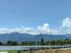 -野鸭湖国家湿地公园