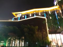 -常州环球恐龙城维景国际大酒店