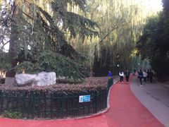 -西安市长乐公园