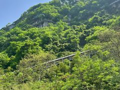 -仙岛湖旅游风景区