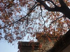 -徐家鸭子·非遗烤鸭(老门东店)