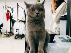 -iF摄影•全家福•证件照•形象照(南山店)