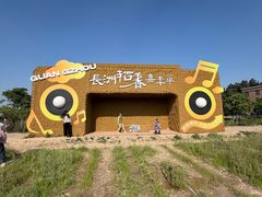 -长洲岛