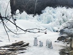 -黑龙潭风景区