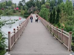 -东岳体育公园
