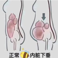 -梦斯绮塑美中心(通州富力星光店)